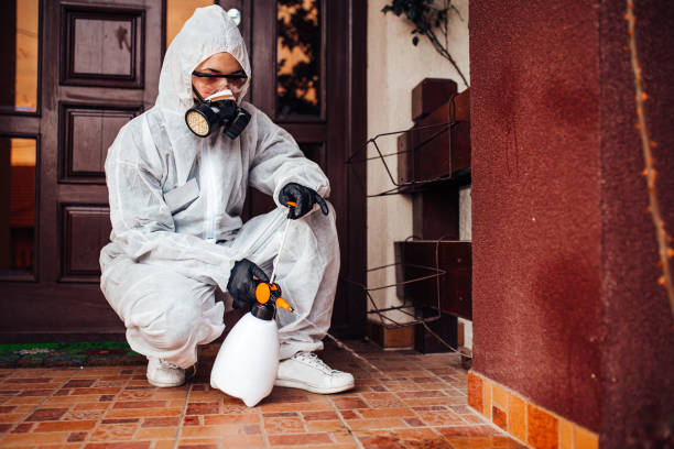 Reliable Wasp Removal contractor in Olney, MD by Show Me Pest Control